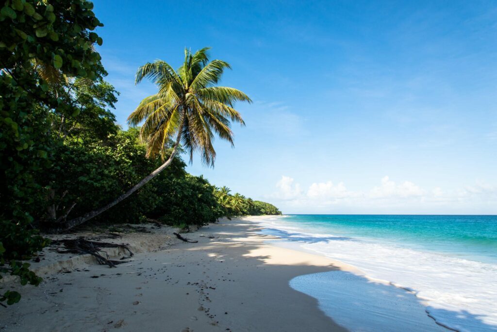 Plage de Marie-Galante