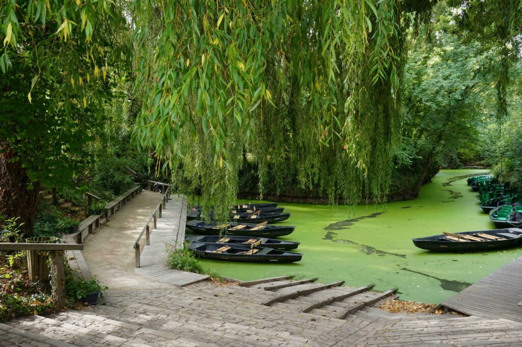 Promenade en barque dans le marais Poitevin