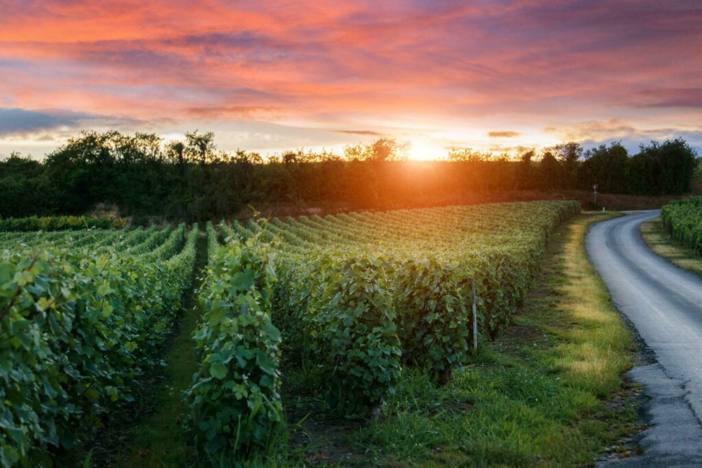 Route touristique du Champagne