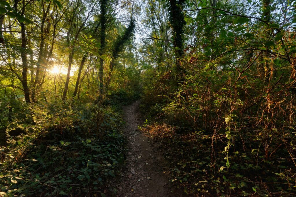 Se promener sur les sentiers autour d'Orléans