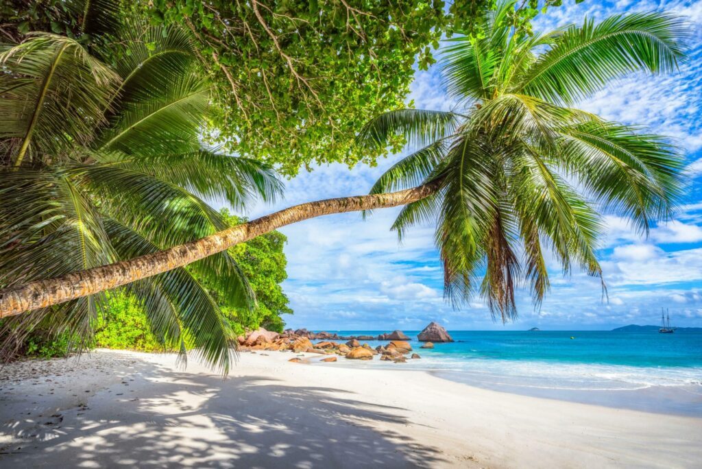Visiter les Seychelles et Praslin