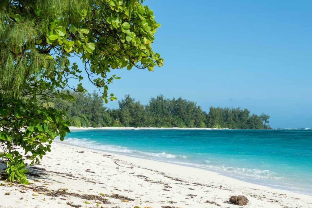Denis Island aux Seychelles