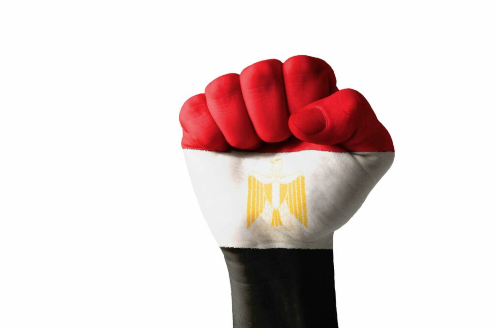 Fist painted in colors of egypt flag