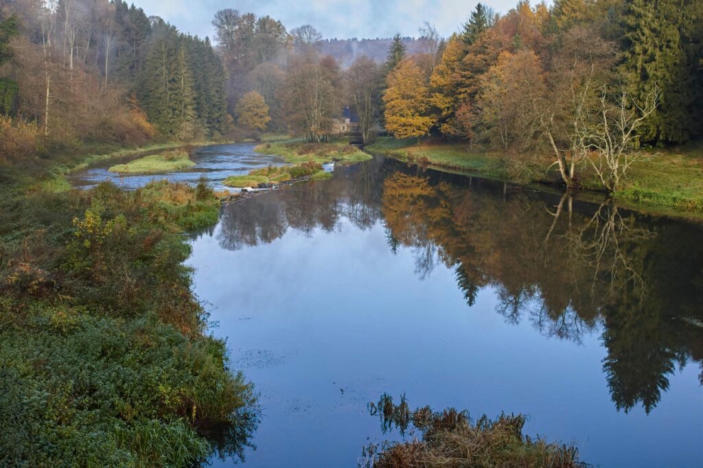 La forêt de Chiny dans les paysages de Belgique