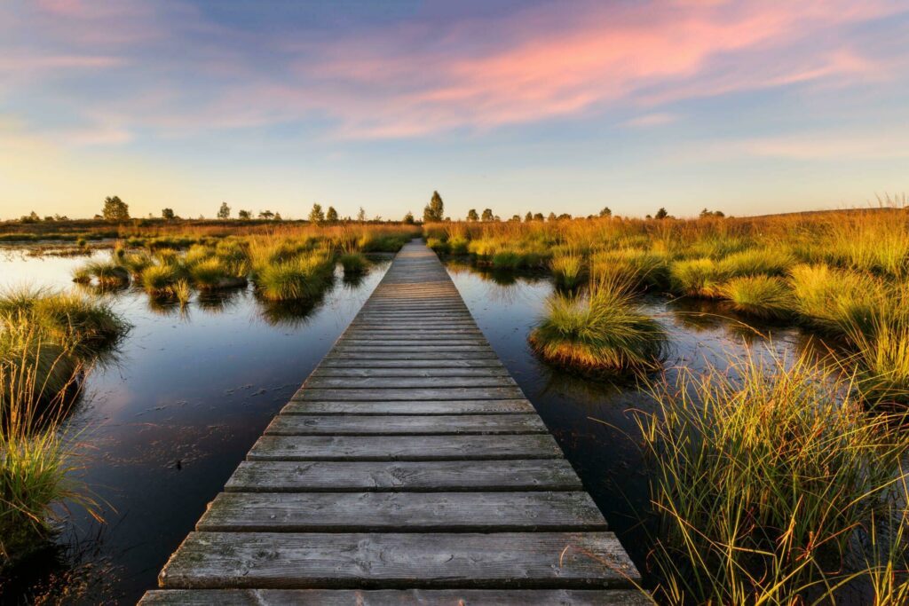 La réserve des Hautes Fagnes dans les paysages de Belgique