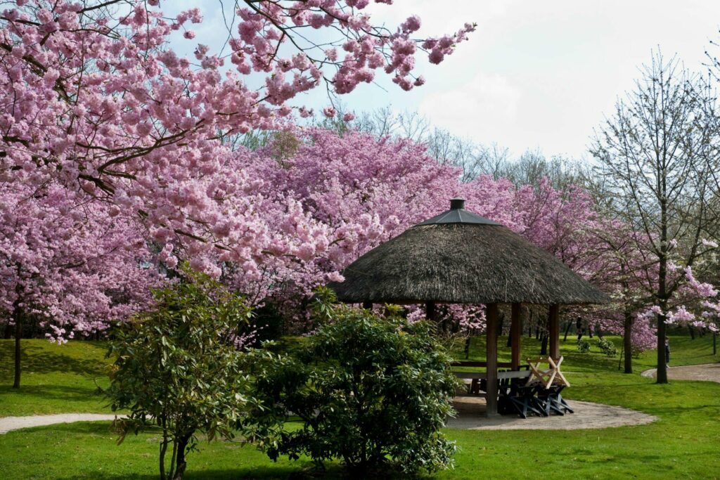 Le jardin japonais de Hasselt