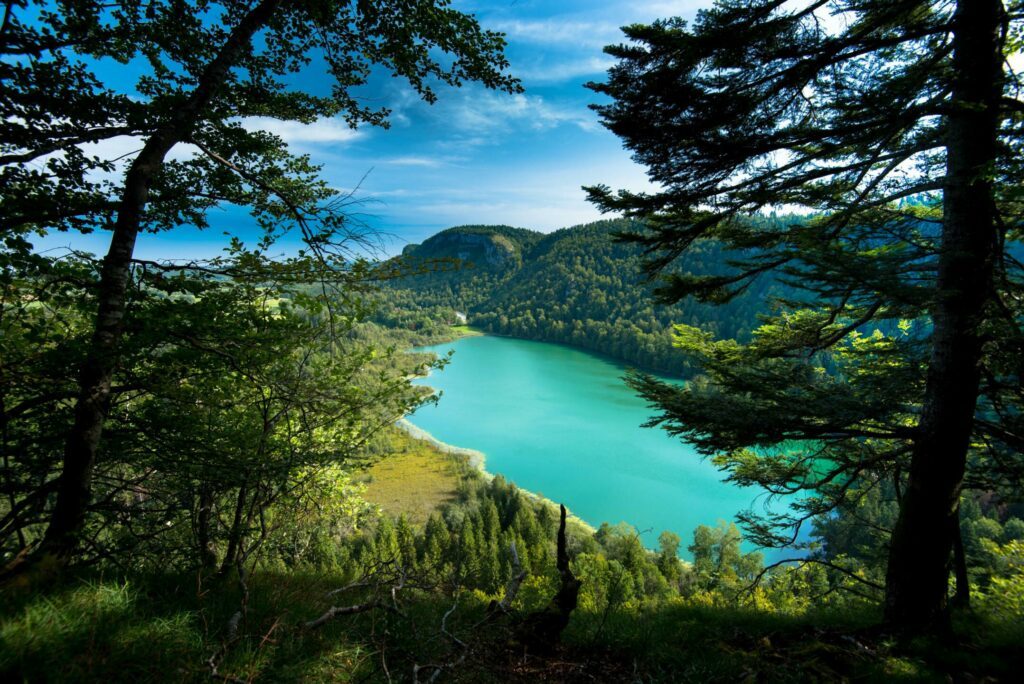Le lac de Bonlieu dans les paysages du Jura
