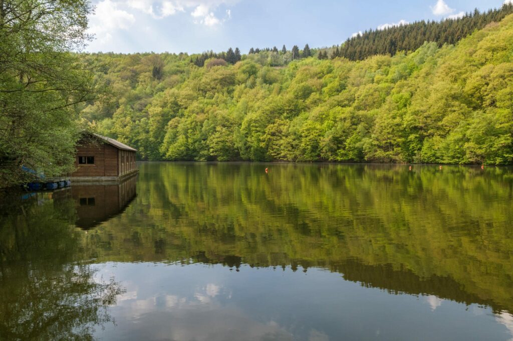 Le lac Nisramont