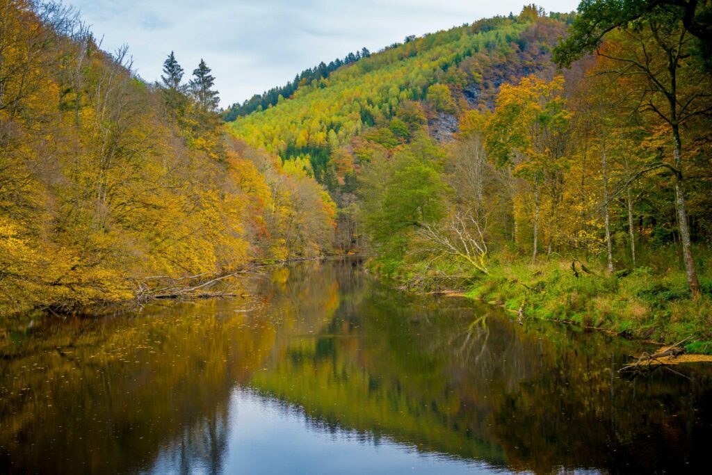 Le parc national des deux Ourthes