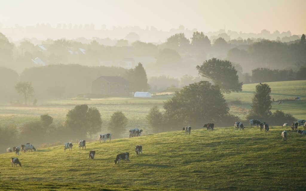 Le pays de Herve dans les paysages de Belgique