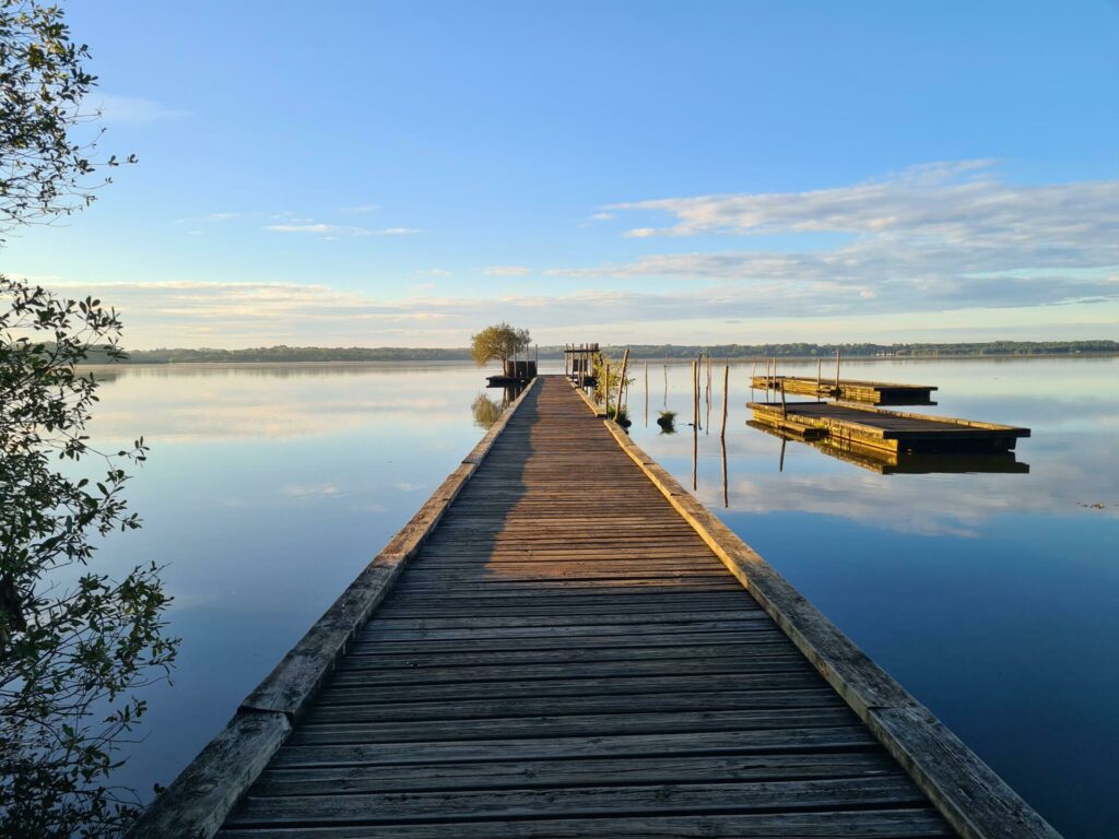 Le ponton du lac d'Azur dans les paysages des Landes