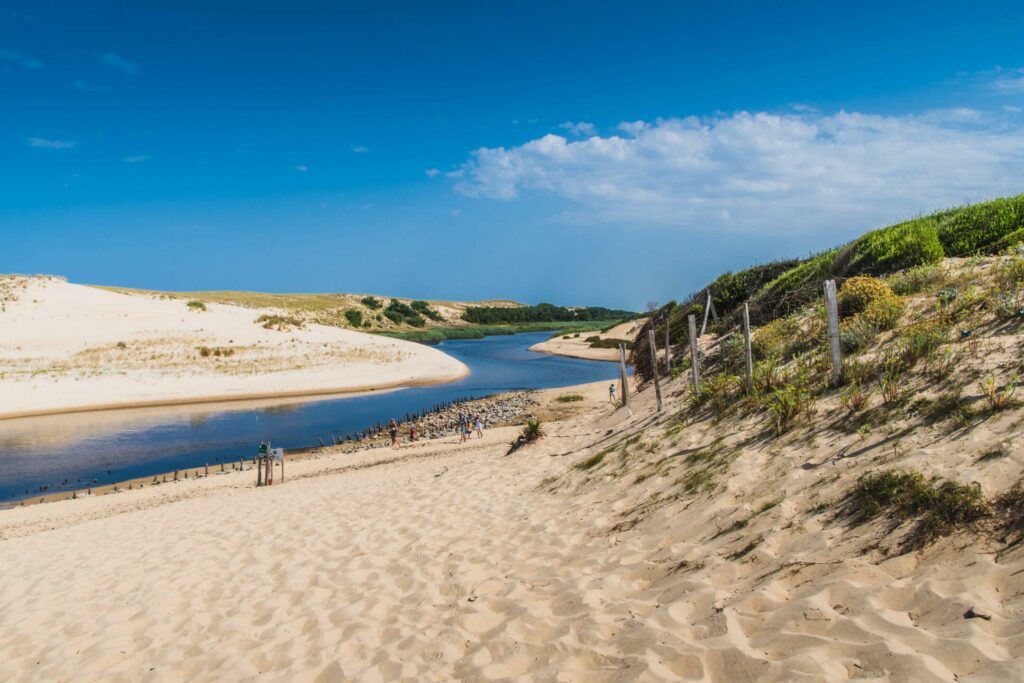 Les dunes des Landes