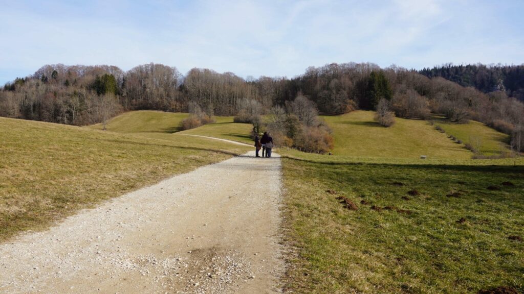 Les prairies du Frasnois