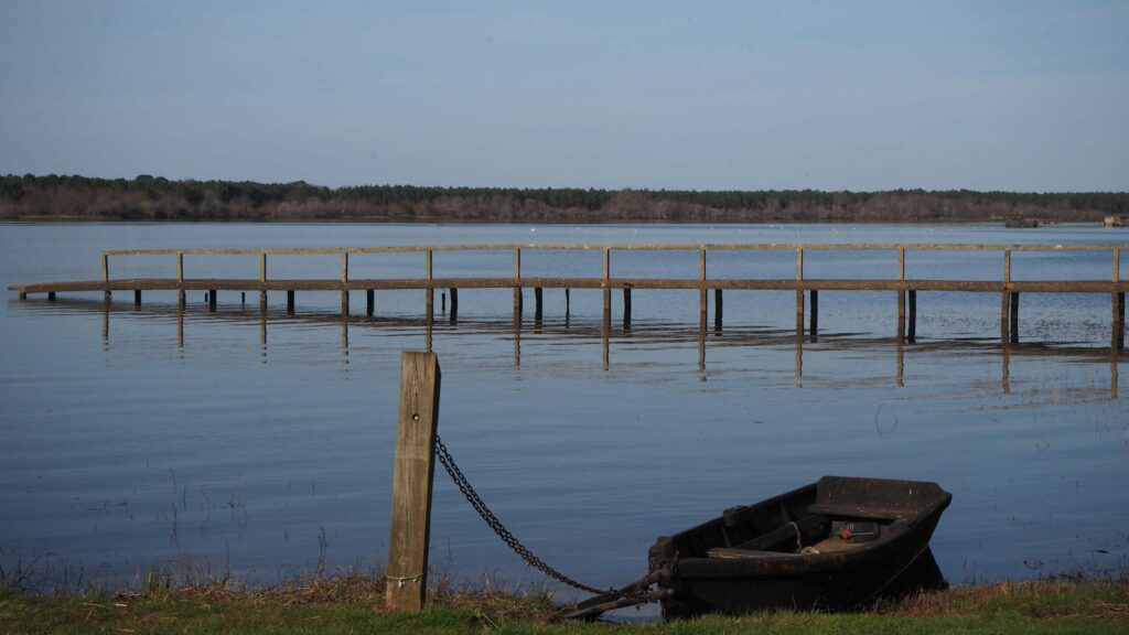 Les rives du lac d'Aureilhan