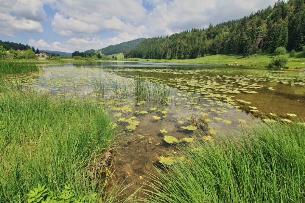 Les tourbières dans les paysages du Jura