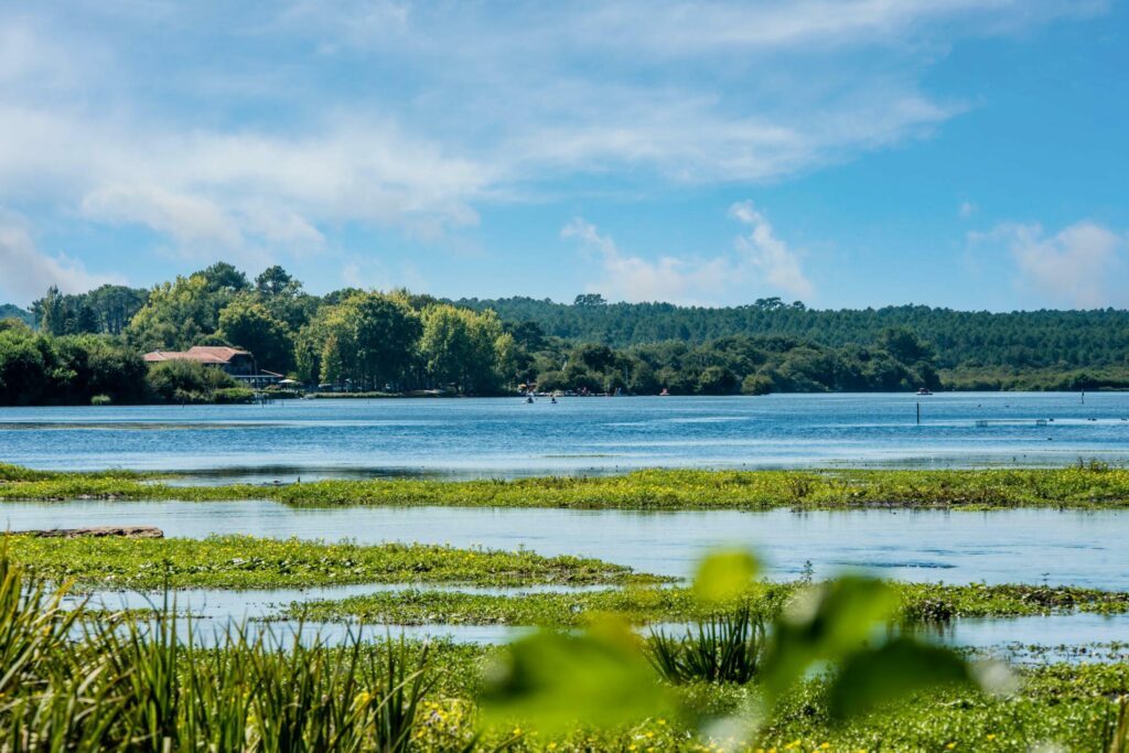 L'étang de Léon dans les paysages des Landes