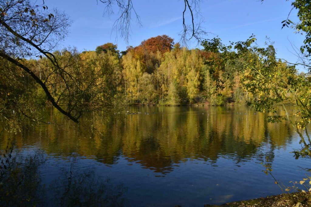 L'étang en automne