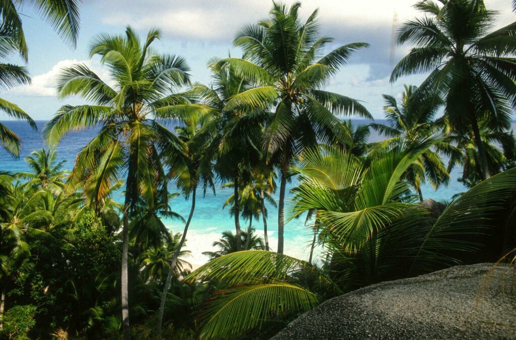 L'île Frégate aux Seychelles