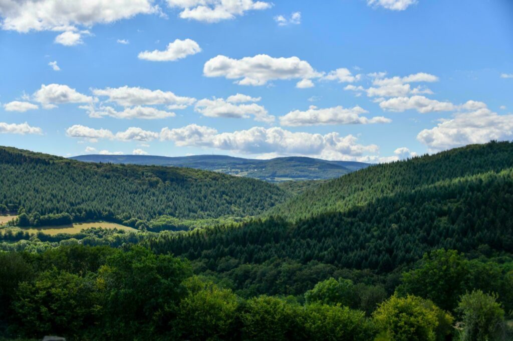 Un bol d'air dans le Parc Naturel du Morvan