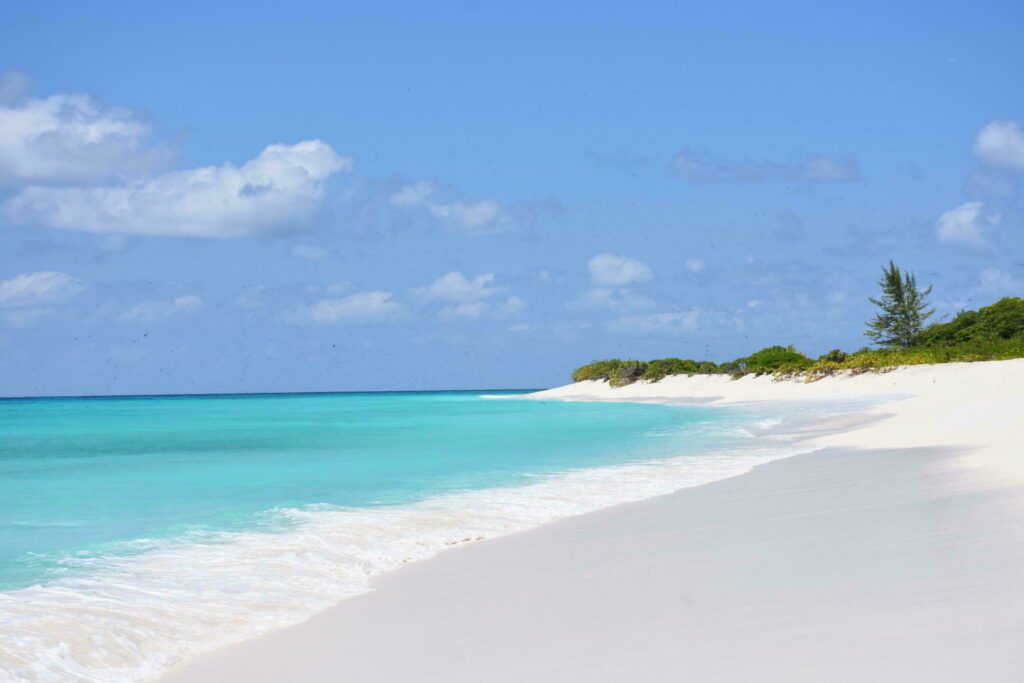 Plage sur Bird Island