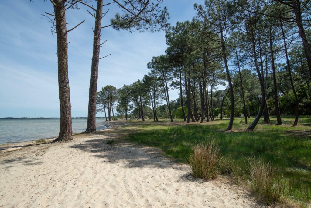 Une plage à faire à Biscarosse