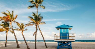 Visiter la Floride plage palmier