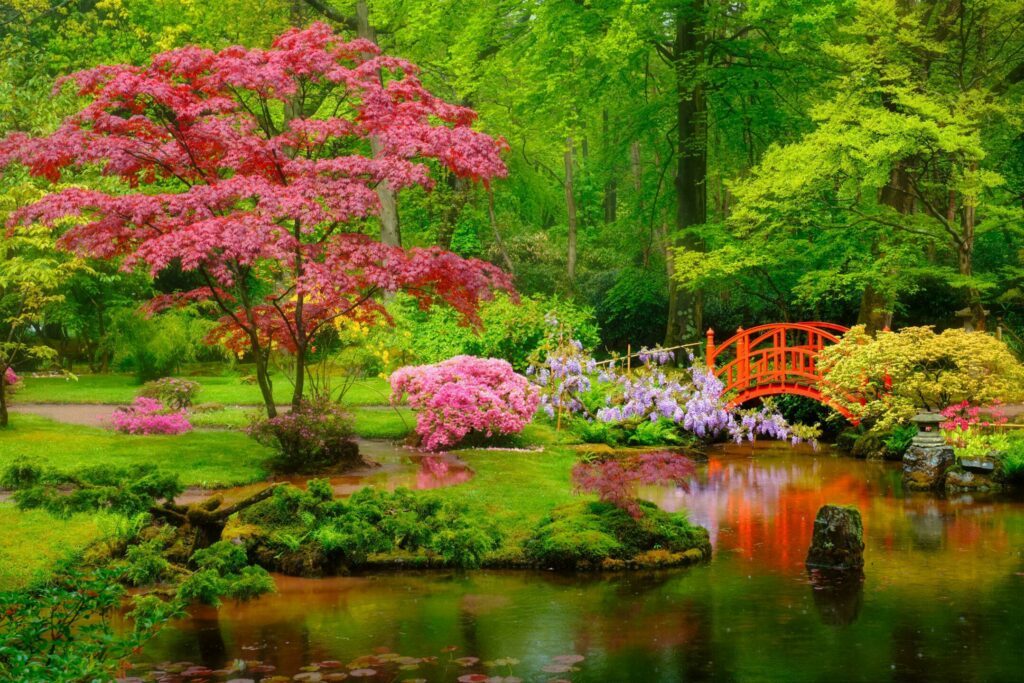 Voir le jardin japonais du parc de Clingendael de La Haye