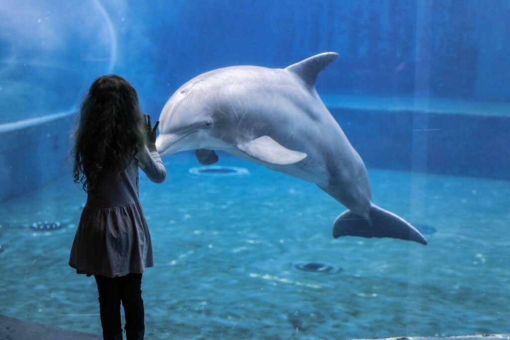 Genes Acquario di Genova dauphin et enfant