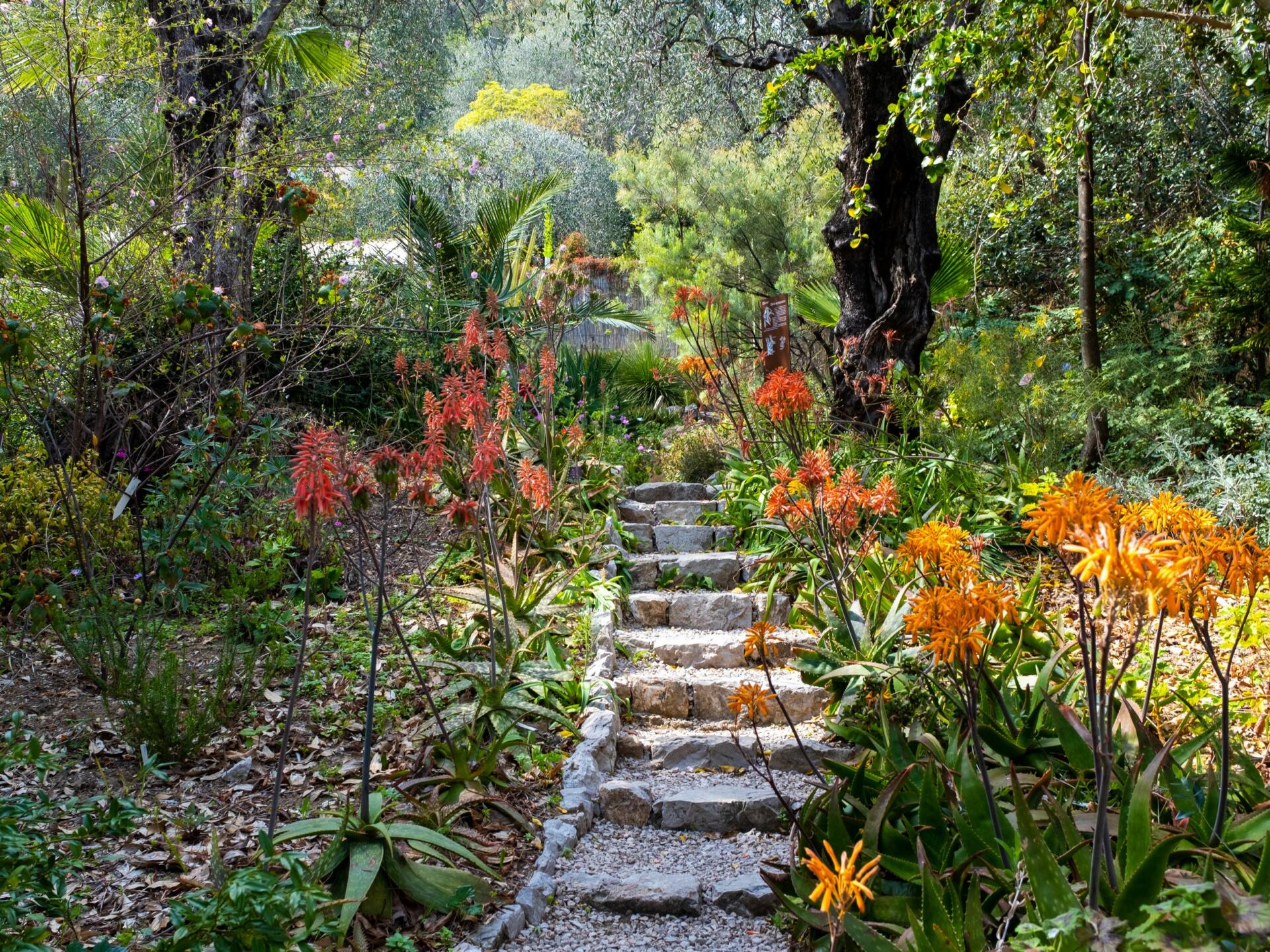 Le jardin botanique à faire à Menton