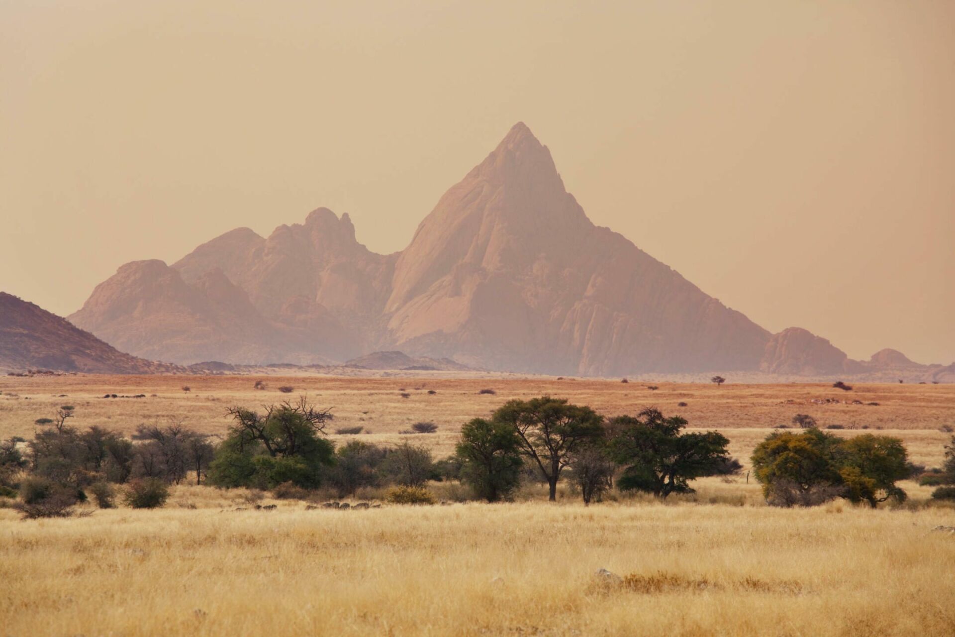 paysage sur la réserve de Palmwag