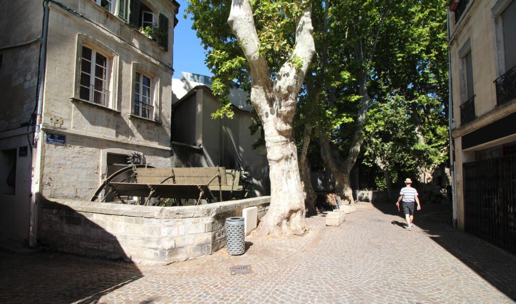 La rue des Teinturiers à Avignon