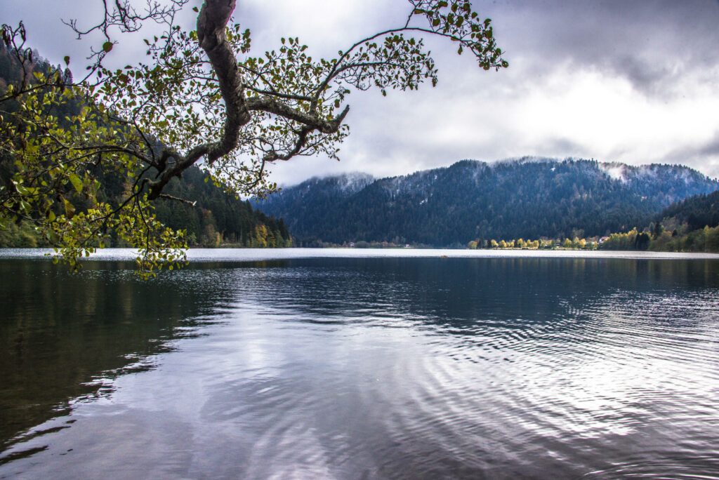 Lac de Longemer dans les Vosges