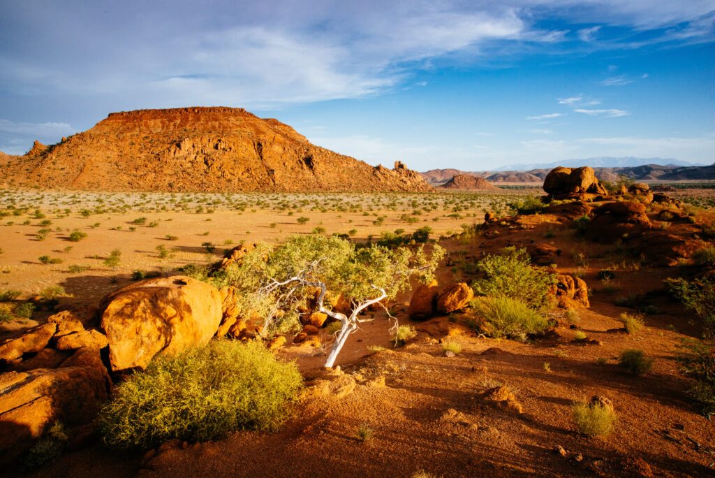 Ausblick in die Ebene, Mowani Campsite, Damaraland, Namibia