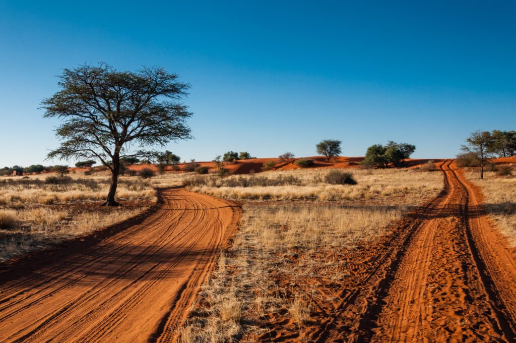 Sandpiste in der Kalahari, Namibia, Abendstimmung