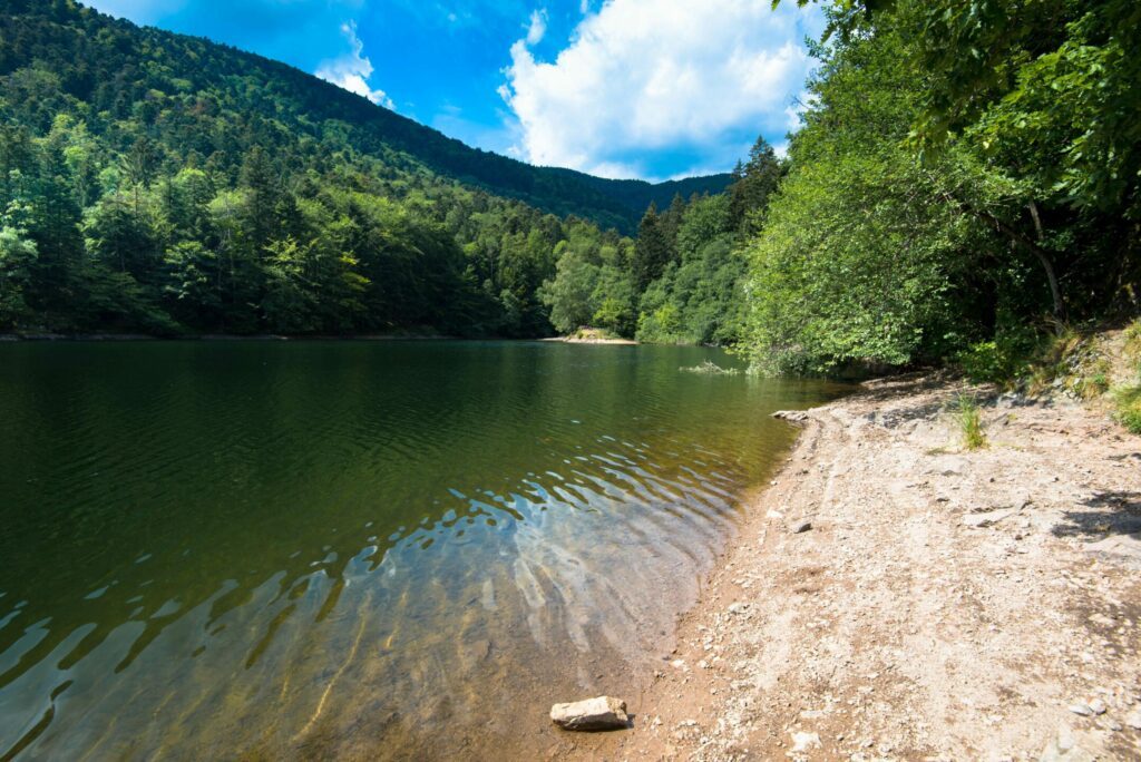 Le lac d'Alfeld