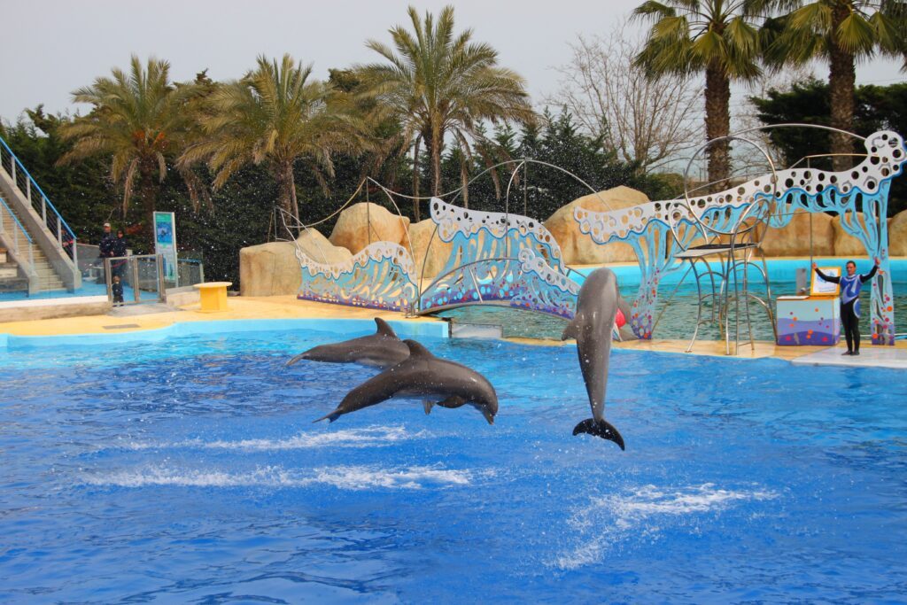 Le Marineland d'Antibes