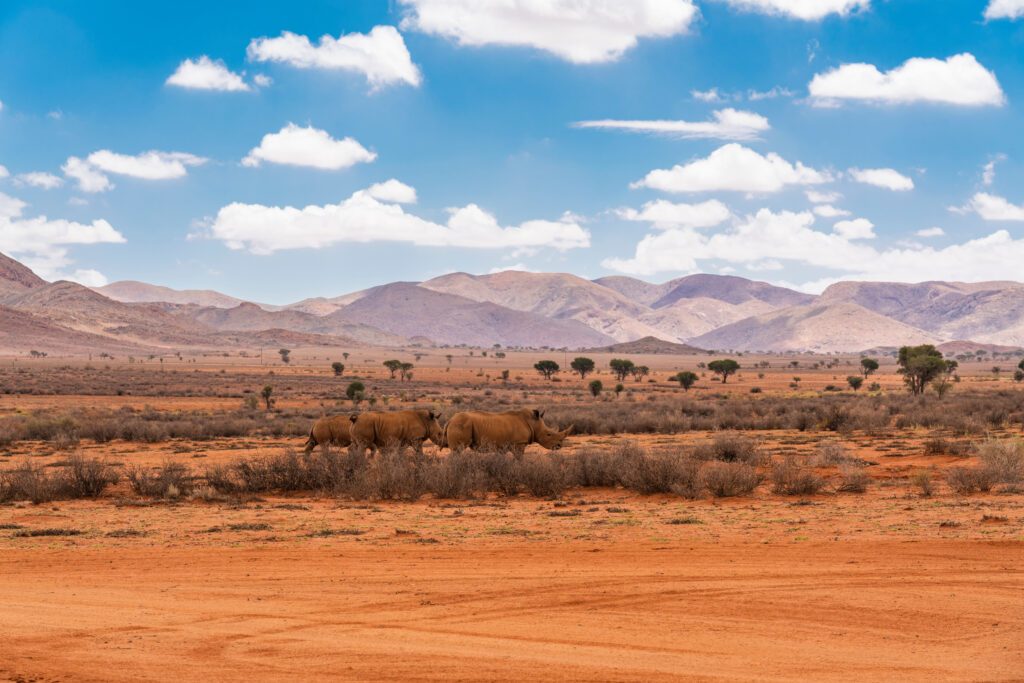 Le Parc national d’Etosha