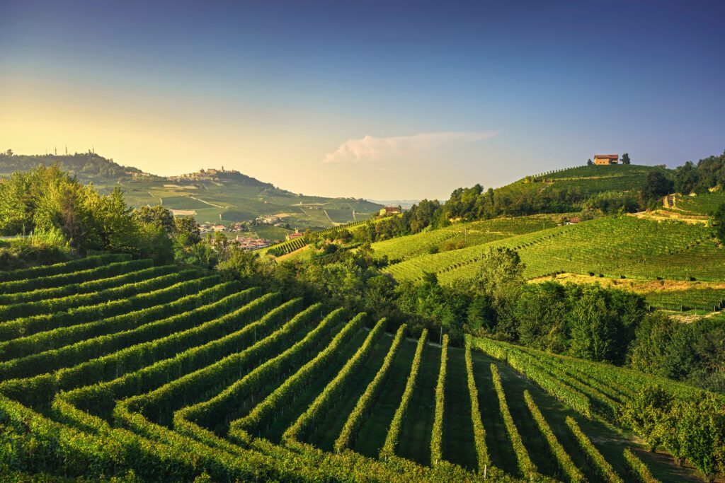 Les collines verdoyantes de l’Italie (Langhe)