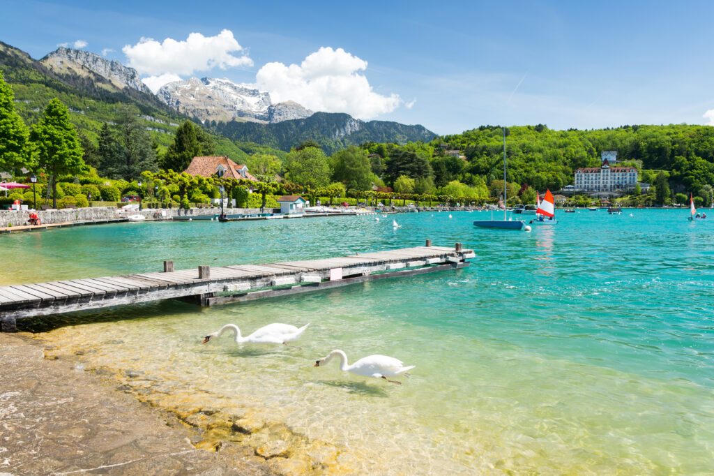 amazing view on marina with swan on Lake Annecy, France