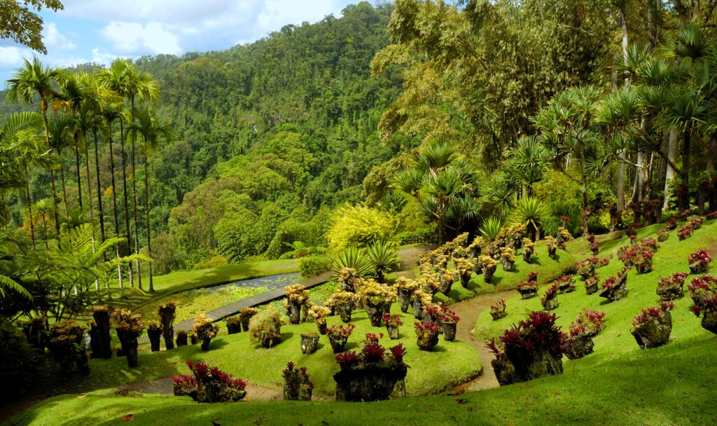 Les Jardin de Balata en Martinique
