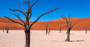 Les paysages de Namibie