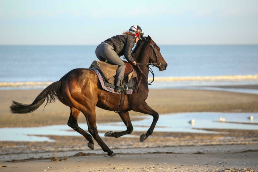 Parcourir la plage à cheval