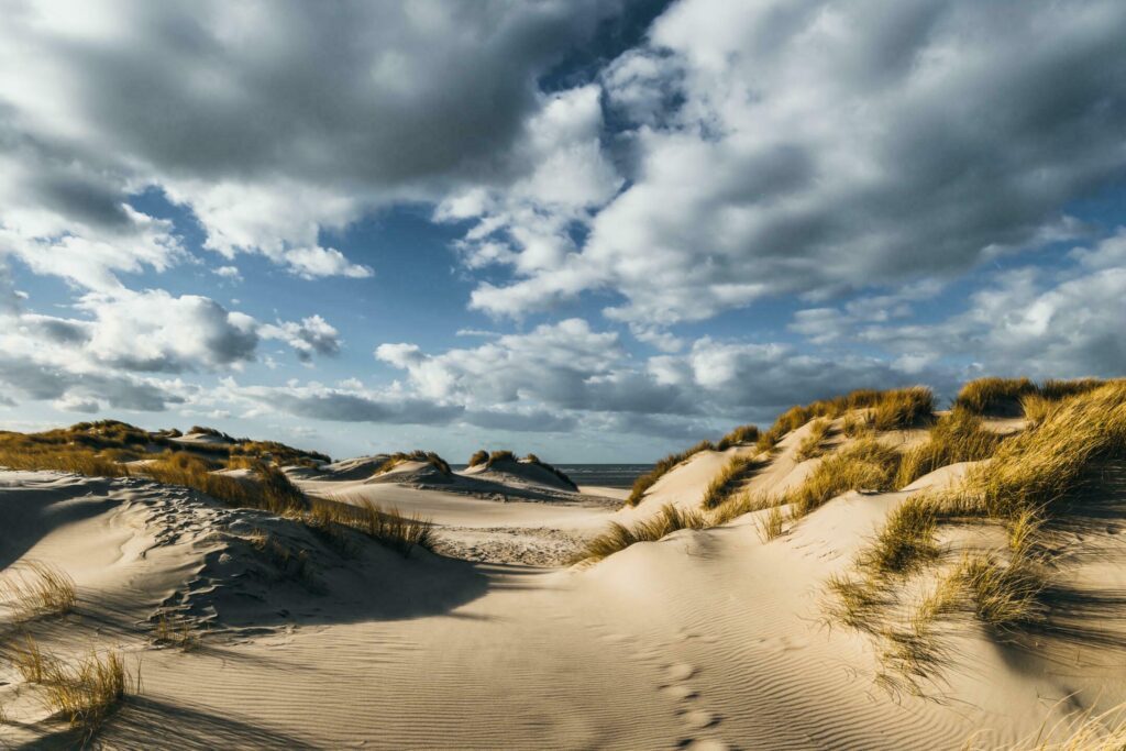 Plage de la baie de Canche dans les alentours du Touquet