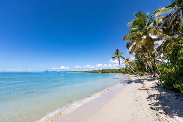 Visiter la Martinique en 10 jours : voici l'itinéraire parfait