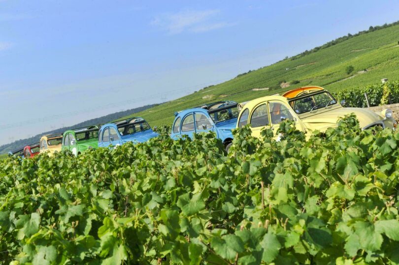 Les routes des vins de Bourgogne