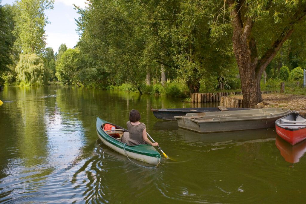 france; 85; marais poitevin,arçaiss : canoé