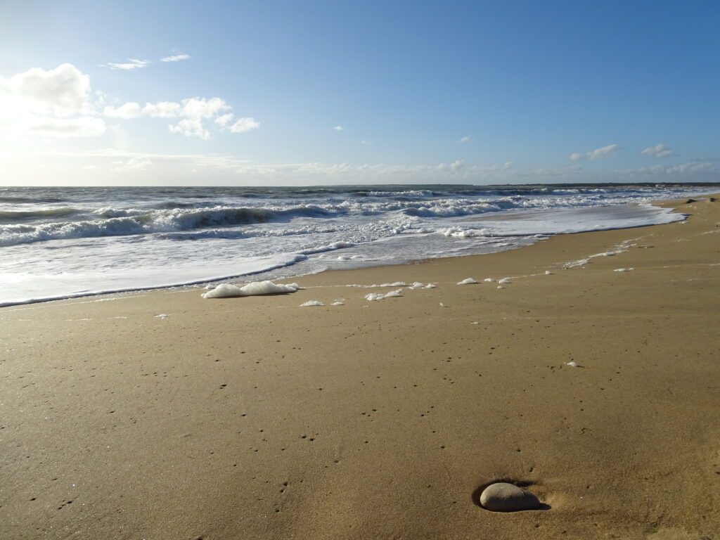 La plage des Conches