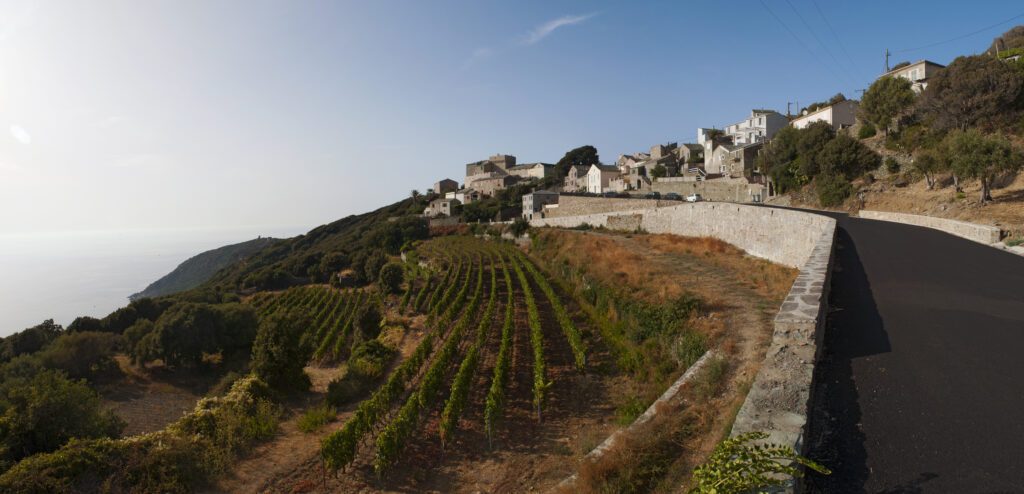 Corsica, Alta Corsica, 29/08/2017: skyline e vista dei vigneti di Baragogna, uno dei villaggi del versante ovest di Capo Corso sulla strada tortuosa che sale fra Morsiglia e Centuri