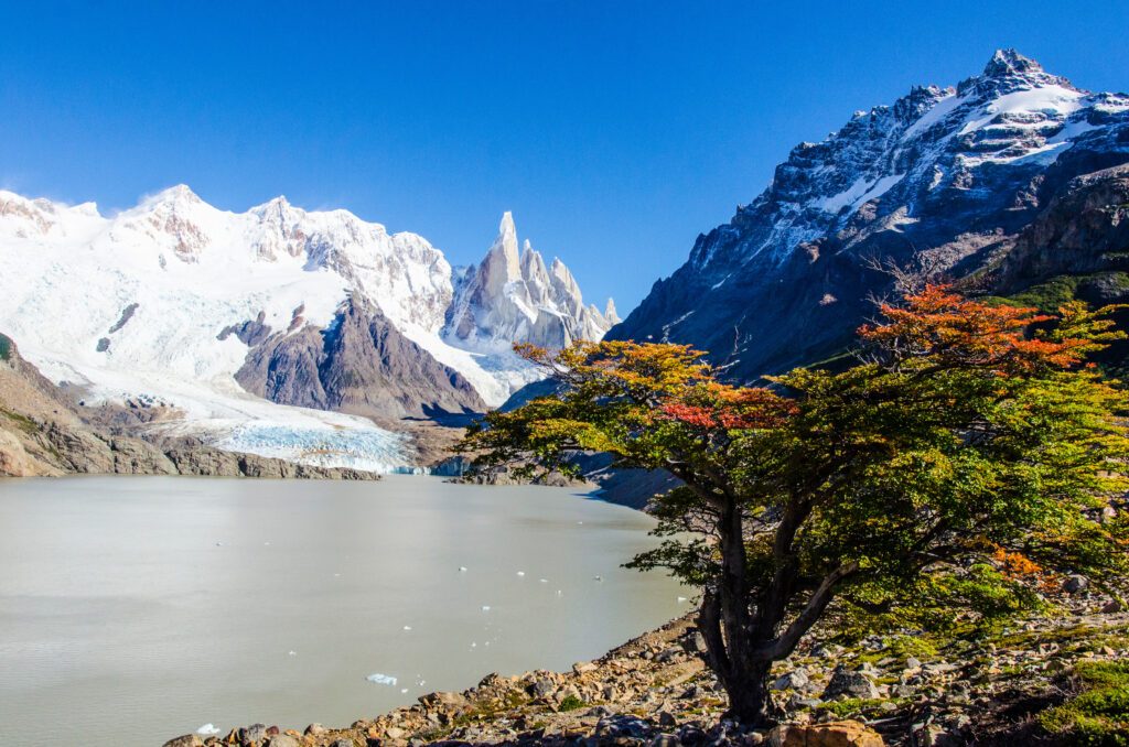 Laguna Torre en Patagonie, Argentine
