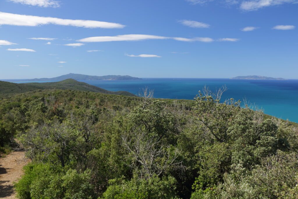 Panorama costiero con macchia mediterranea - Parco Regionale della Maremma - Toscana - Italia